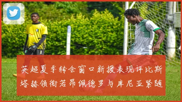 英超夏季转会窗口新援表现评比斯塔赫领衔若昂佩德罗与库尼亚紧随其后