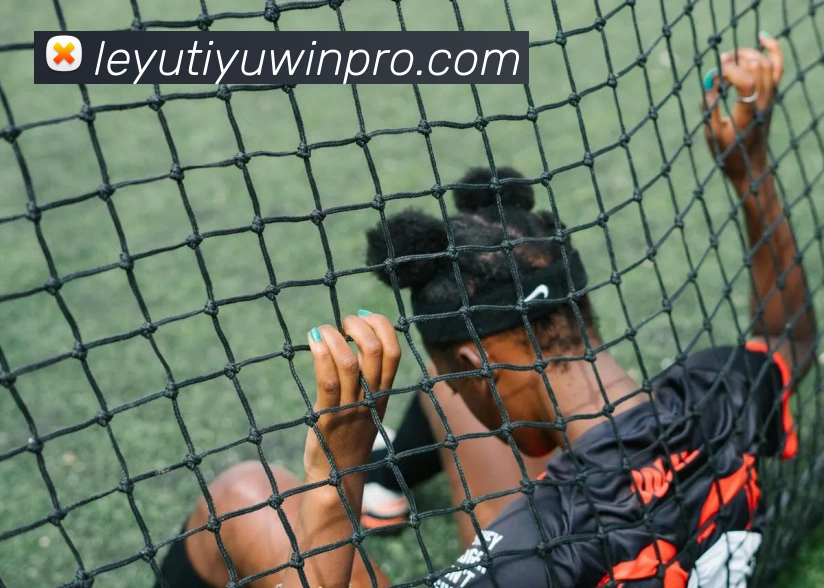 多媒体互动体验